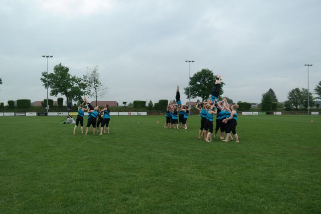 Bild (67)